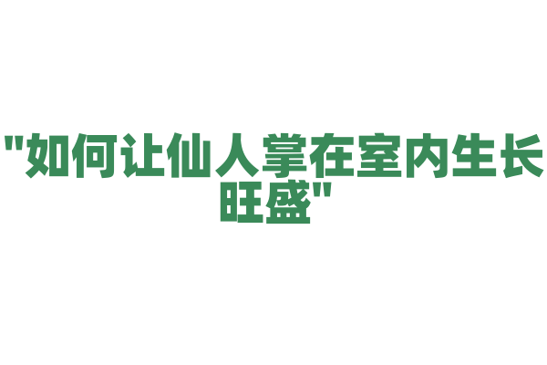 "如何让仙人掌在室内生长旺盛"